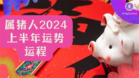 猪年2024运程|属猪人2024年运势运程详解 2024生肖猪全年运程